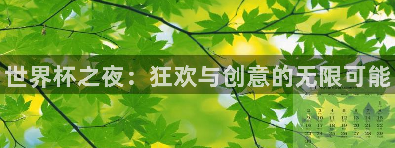 世界杯足球赛2026：世界杯之夜：狂欢与创意的无限可能