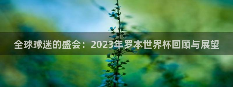 足球杯：全球球迷的盛会：2023年罗本世界杯回顾与展望