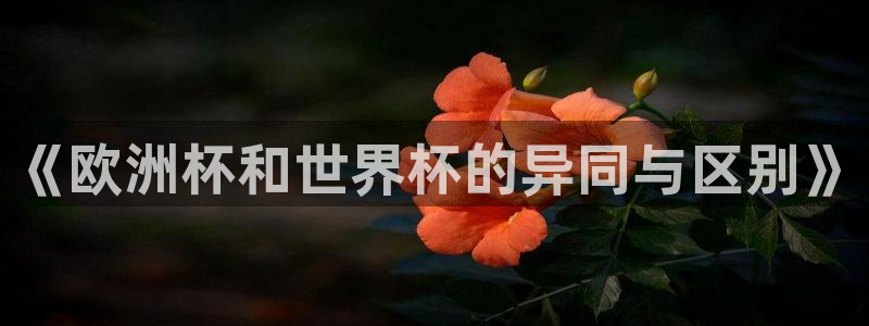 世界杯欧洲区预选赛：《欧洲杯和世界杯的异同与区别》