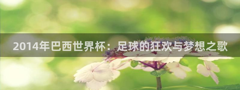 葡萄牙世界杯赛程：2014年巴西世界杯：足球的狂欢与梦想之歌