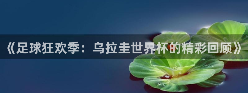 世界杯欧洲预选赛赛程：《足球狂欢季：乌拉圭世界杯的精彩回顾》