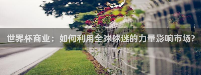 世界杯决赛预测：世界杯商业：如何利用全球球迷的力量影响市场?