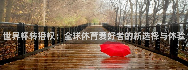 足球世界杯：世界杯转播权：全球体育爱好者的新选择与体验