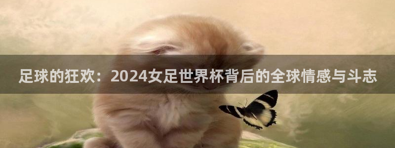 世界杯官网入口：足球的狂欢：2024女足世界杯背后的全球情感与斗志