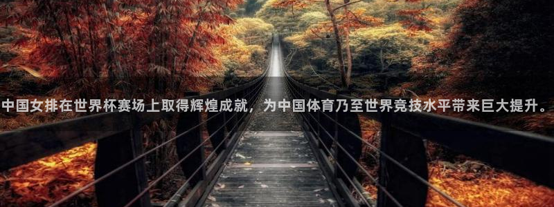 世界杯 直播：中国女排在世界杯赛场上取得辉煌成就，为中国体育乃至世界竞技水平带来巨大提升。