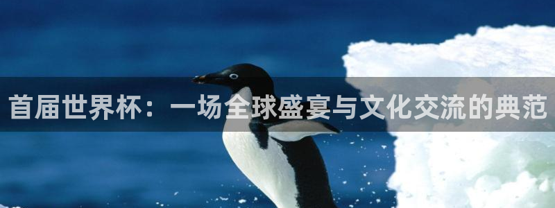 世界杯球队排名：首届世界杯：一场全球盛宴与文化交流的典范