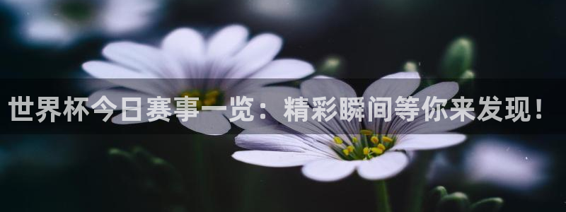 足球比分直播世界杯：世界杯今日赛事一览：精彩瞬间等你来发现！