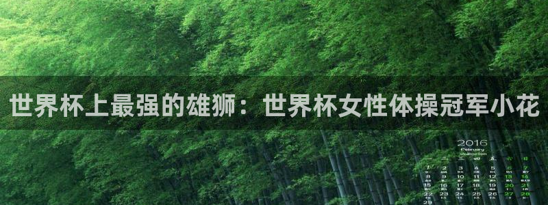 世界杯系列赛：世界杯上最强的雄狮：世界杯女性体操冠军小花