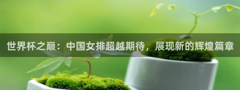 世界杯赛程表2026：世界杯之巅：中国女排超越期待，展现新的辉煌篇章