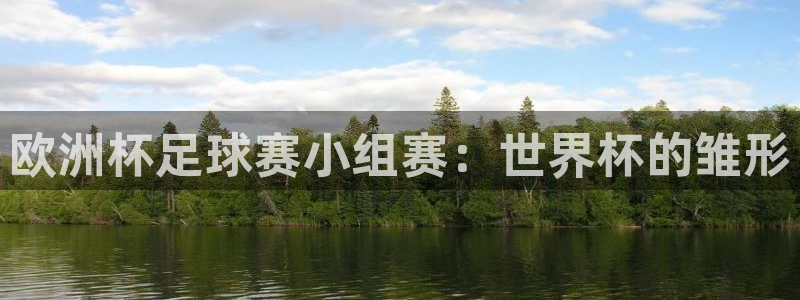 世界杯预选赛规则：欧洲杯足球赛小组赛：世界杯的雏形