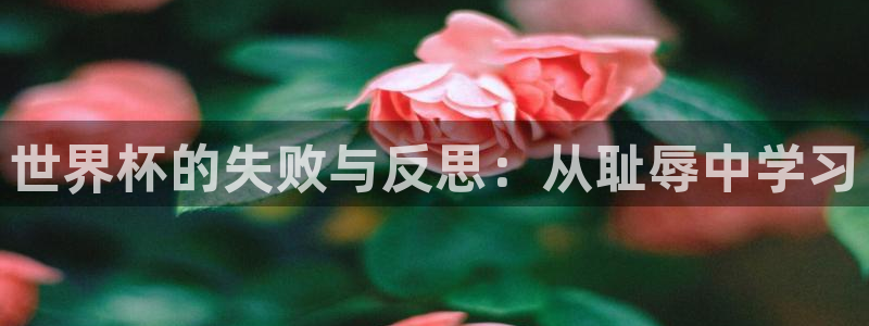 2026世预赛全部赛程：世界杯的失败与反思：从耻辱中学习