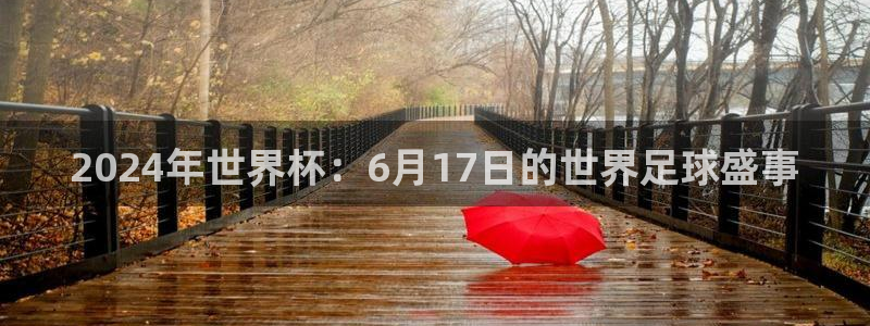2026世界杯买球：2024年世界杯：6月17日的世界足球盛事